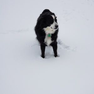 Meet your Posher, Joanna